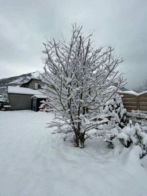 Bel Appartement Dans Residence Cheminee /Jardin Luz-Saint-Sauveur Dış mekan fotoğraf